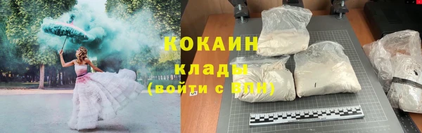 мдпв Дедовск