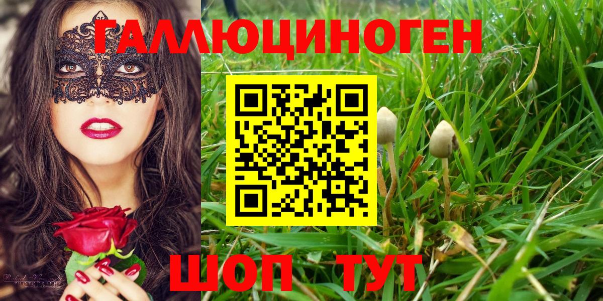 Псилоцибиновые грибы Psilocybe Можайск