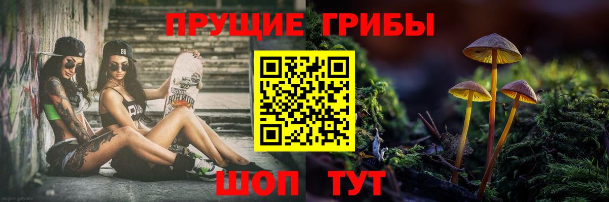 Галлюциногенные грибы мицелий  Вход с VPN  Можайск 